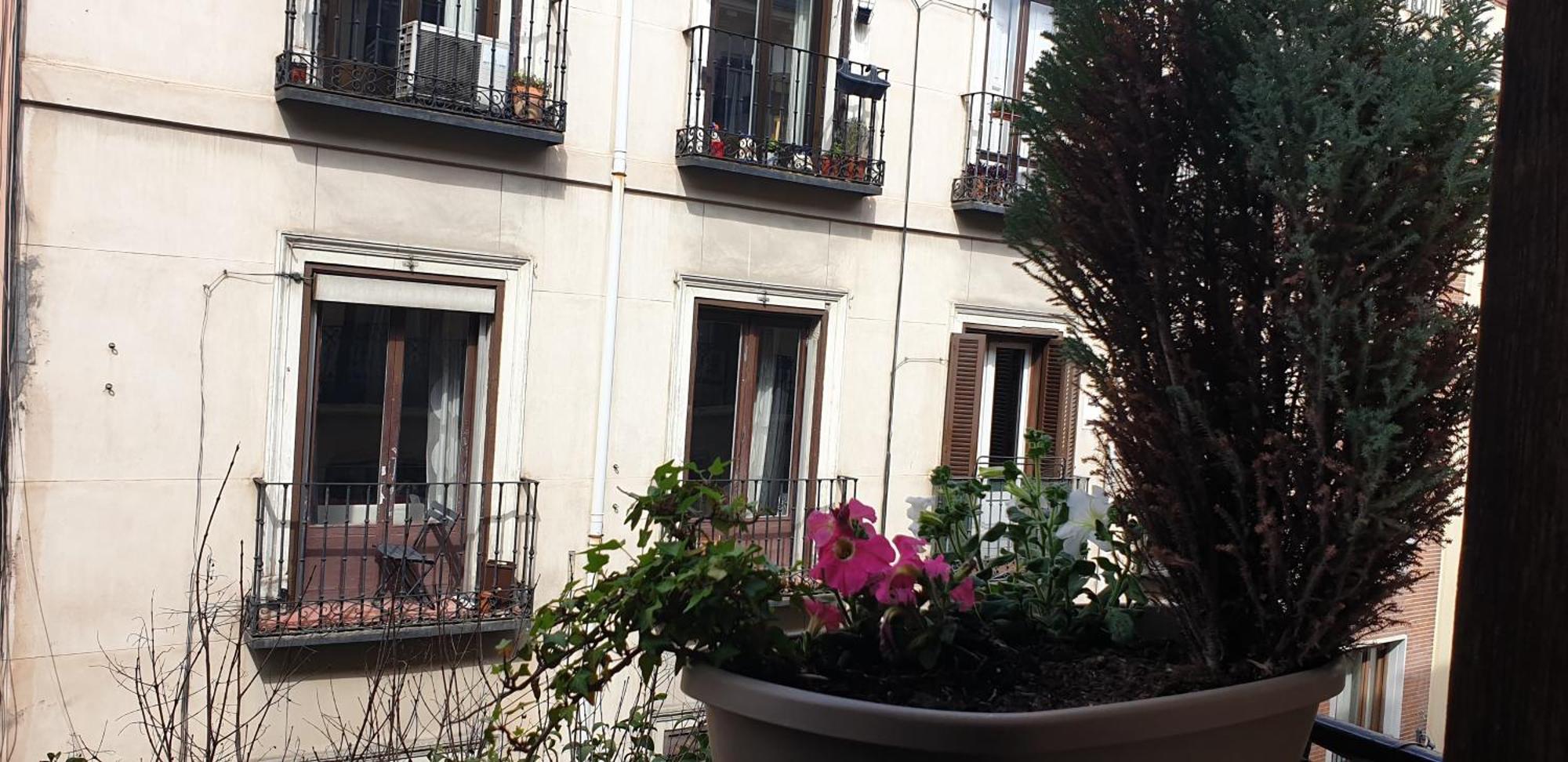 Fuentes (adults Only) 2* Madrid