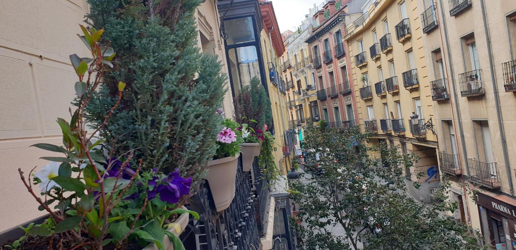 Fuentes (adults Only) Guest house